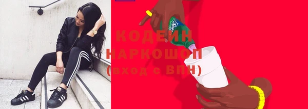 мдпв Гусь-Хрустальный