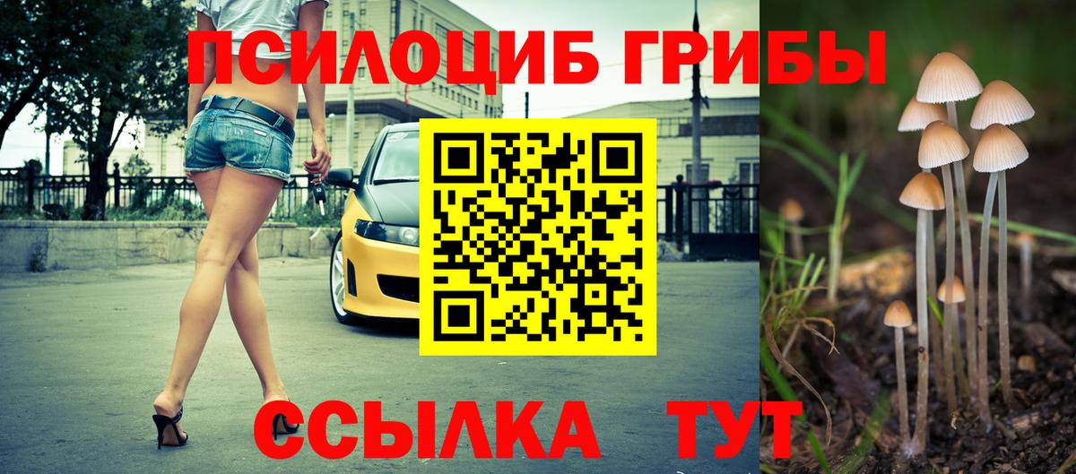 Псилоцибиновые грибы прущие грибы Ейск