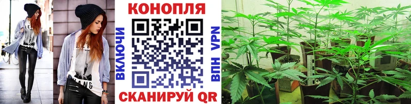 МАРИХУАНА OG Kush  Ейск 